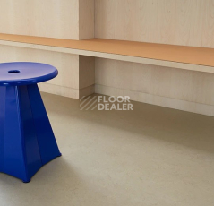 Forbo Marmoleum Solid Concrete 3758 shale фото 2 | FLOORDEALER